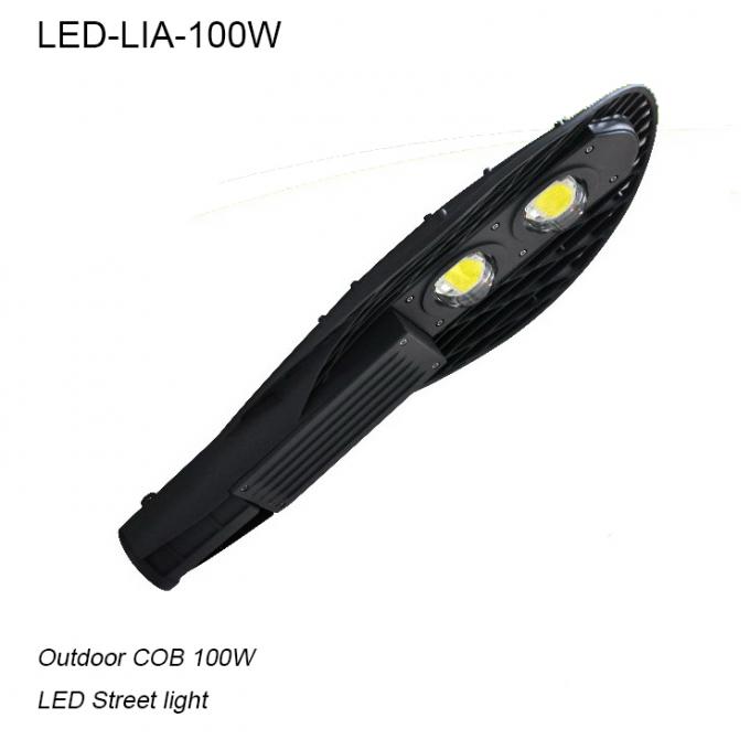 100W economical outdoor waterproof IP65 LED street light/LED Road light