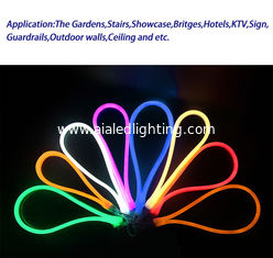 China 230V Outside rain-proof IP65 flexible led neon light for bridge decoration supplier