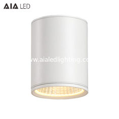 China IP65 waterproof surface mounted downlight 60W DALI dimmable exterior led down light &amp;exterior downlight supplier