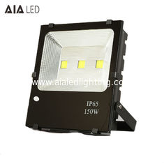 China Aluminum waterproof IP66 led flood lamp luminaire COB 100W LED Flood lights for garden supplier