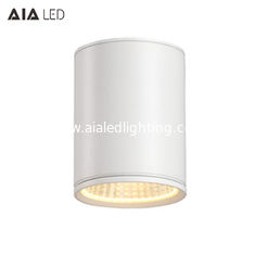 China IP65 waterproof hot sale rounded DALI downlight 50W 0-10V dimmable exterior led down light &amp;outside downlight supplier