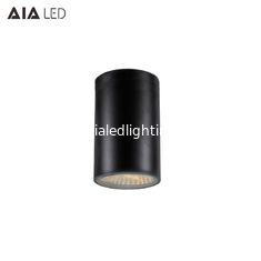 China IP65 waterproof outside black cylinder COB LED downlight&amp;LED outdoor down light for hotel supplier