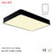 Square inside IP40 modern competitive price LED Ceiling lighting for clothing store supplier