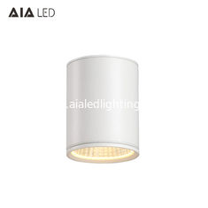 China IP65 led surface mounted downlight 30W led down light &amp;exterior downlight for bathroom supplier