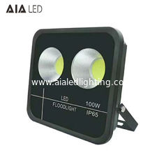 China Modern luminaire rainproof IP66 led flood light COB 100W LED Floodlight fixture for garden supplier