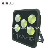 China New aluminum rainproof IP66 high watts led floodlight COB 250W LED Flood lighting supplier