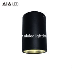 China Inside IP65 waterproof black 20W COB LED downlight&amp;LED light for bathroom supplier