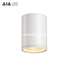 China IP65 waterproof top quality rounded DALI downlight 40W 0-10V dimmable exterior led down light &amp;outside downlight supplier