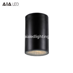 China IP65 rainproof cylinder 25W COB led downlight &amp;outdoor surface downlight for home supplier