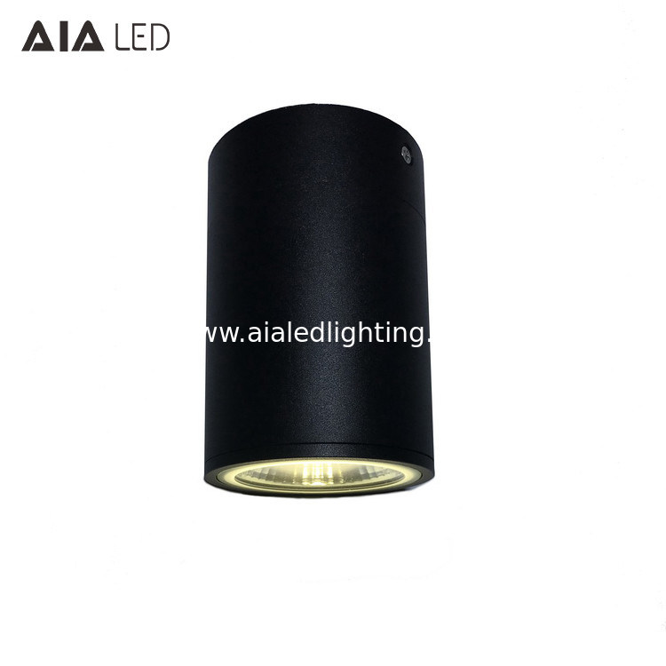 IP65 waterproof circular surface mounted 20W COB LED downlight&outdoor