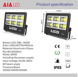 contemporary aluminum 60degree led flood lights COB 300W Flood light for park square supplier