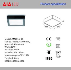 Aluminium outdoor 170x170xH40mm waterproof LED panel light fixture led downlight supplier