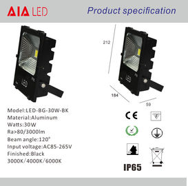 Outside IP65 waterproof COB 30W LED Flood light/LED garden light/led wall spotlight for hotel supplier