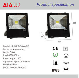 Garden and outdoor IP65 waterproof COB 50W LED Flood light/LED outdoor led spot light supplier