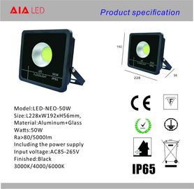 Garden and outdoor IP66 waterproof 50W LED Flood light/LED outdoor light supplier