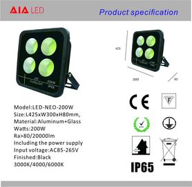 Exterior IP65 black 200W LED Flood lighting led spotlight for yard decoration supplier