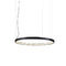 DIY black modern led ring pendant lamp led ring chandelier droplight ceiling lamp for hotel decoration supplier