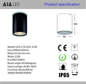 Outside surface mounted dimmable IP65 waterproof black 12W COB LED downlight&amp;LED down lamp for bathroom supplier