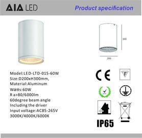 IP65 waterproof surface mounted downlight 60W DALI dimmable exterior led down light &amp;exterior downlight supplier