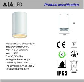 IP65 waterproof outside round DALI dimmable 50W COB LED down light&amp;outdoor LED downligthing supplier