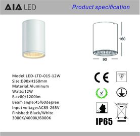 IP65 waterproof circular DALI dimmable outdoor downlight 12W 0-10V dimmable exterior down light &amp;outside downlight supplier