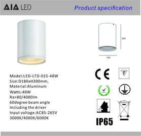 IP65 waterproof circular TRIAC dimmable 40W COB LED ceiling down lamp&amp;outdoor LED down light supplier