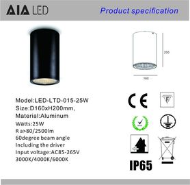 IP54&amp;IP44 IP65 25W ip65 led downlight&amp;Black downlight&amp;ip65 led surface mounted downlight supplier