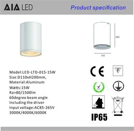 IP65 waterproof surface mounted cylinder 15W COB LED downlight&amp;outdoor LED down lamp supplier