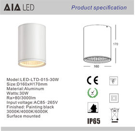 30w led downlight&amp;led downlight surface mounted&amp;ip65 surface mount led downlight supplier