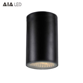 IP65 waterproof circular DALI dimmable 40W COB LED down lamp&amp;outdoor LED down light supplier