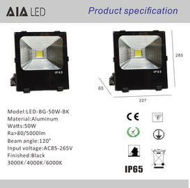 Aluminum waterproof IP66 floodlight COB 50W LED Flood lights for park decoration supplier