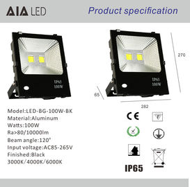 Aluminum waterproof IP66 led flood lamp floodlight COB 100W LED Flood lights supplier