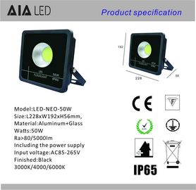 floodlight waterproof IP66 led flood light COB 50W LED Flood lamps for garden supplier