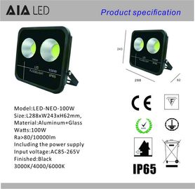 Modern luminaire rainproof IP66 led flood light COB 100W LED Floodlight fixture for garden supplier