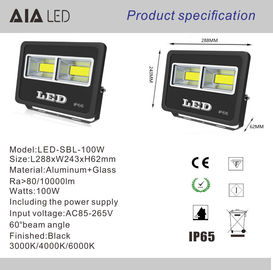 Modern aluminum 60degree led flood lights COB 100W Flood light for commerical building supplier