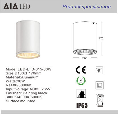 30W led dimmable downlight &amp;led ip65 downlight&amp;ip65 led surface mounted downlight supplier