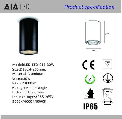 IP65 waterproof cylinder 30W led down light &amp;exterior dimmable downlight led outdoor for hotel supplier