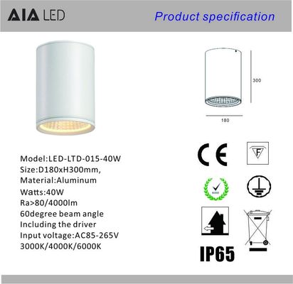 IP65 waterproof top quality rounded DALI downlight 40W 0-10V dimmable exterior led down light &amp;outside downlight supplier