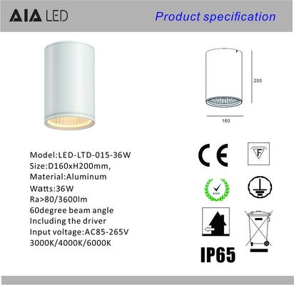 IP65 waterproof modern rounded DALI downlight 36W 0-10V dimmable exterior led down light &amp;outside downlight supplier