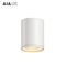 IP65 waterproof DALI dimmable 30W COB LED down light&amp;outdoor LED down lamp for bathroom supplier