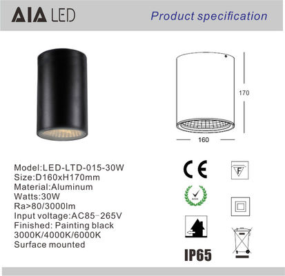 IP65 led surface mounted downlight 30W led down light &amp;exterior downlight  for bathroom supplier