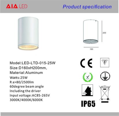 IP65 rainproof 0-10V dimmable 25W COB LED downlight&amp;exterior LED downligthing for ceiling supplier