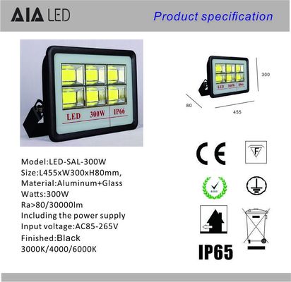 New aluminum exterior waterproof IP66 high power led flood lamp COB 300W LED Flood light supplier